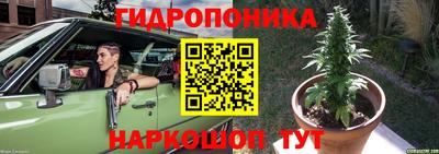 гидра Усть-Илимск