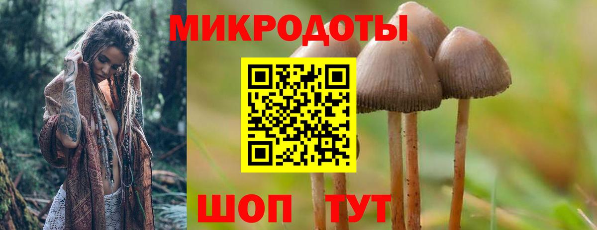 Псилоцибиновые грибы прущие грибы Михайловск